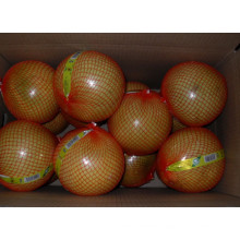 New Crop Fresh Honey Pomelo EU Quality